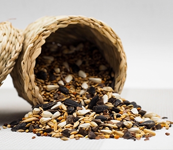 Natural & Organic Bird Food | Buy Whole Foods Online